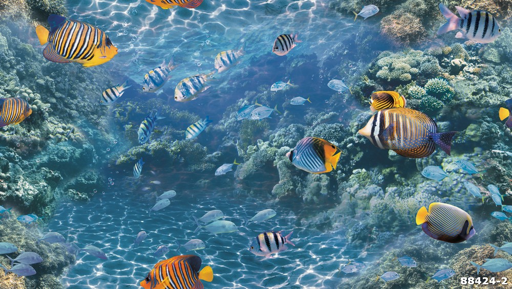 Giấy dán tường đại dương và nemo 88424-2